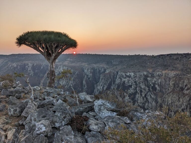 Arabian Peninsula